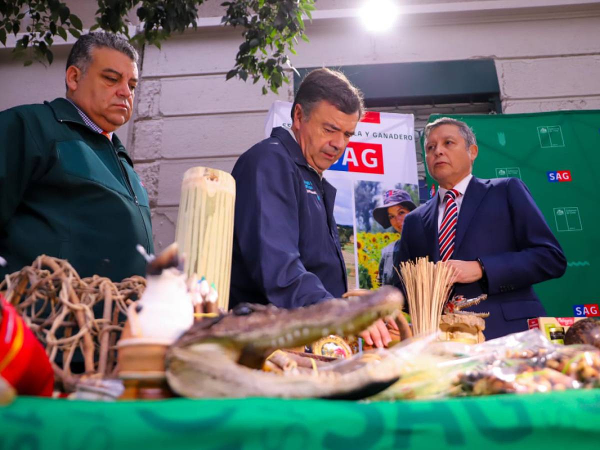 Ministerio de Agricultura junto al SAG advierten sobre sitios web falsos que cobran por trámite gratuito de la Declaración Jurada de ingreso a Chile