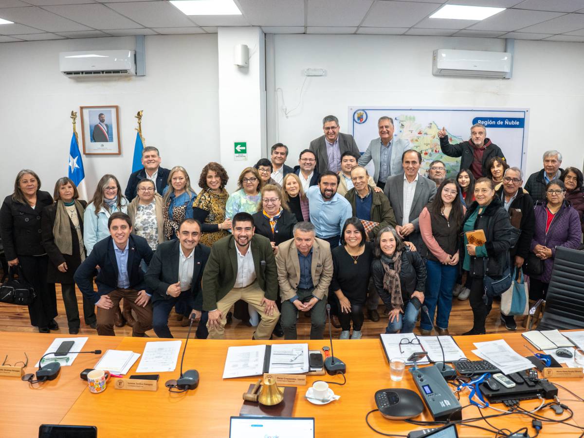 Consejo Regional aprueba recursos para la ampliación de servicios sanitarios del sector Monterrico de Chillán