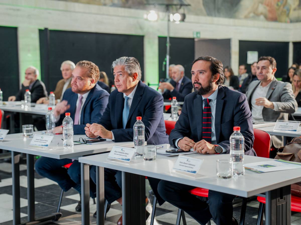 Gobernador Crisóstomo fortalece lazo con Neuquén para avanzar en gestiones del paso Minas Ñuble